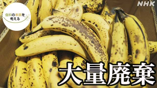 廃棄される輸入バナナ “完璧”から生まれる食品ロス NHK ビジネス特集 食料安全保障